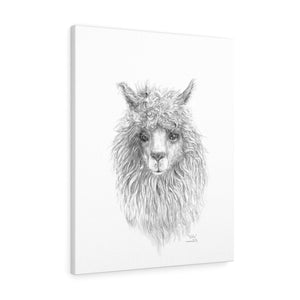 EDDIE Llama - Art Canvas