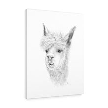 LIAM Llama - Art Canvas