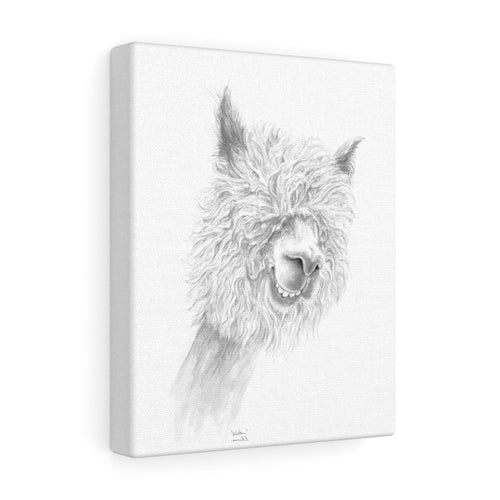 WALTER Llama - Art Canvas