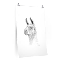 JAN CARLO Llama- Art Paper Print