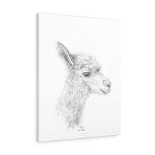 RUFUS Llama - Art Canvas