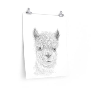 BARTHOLOMEW Llama- Art Paper Print