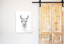 CAITLIN Llama - Art Canvas
