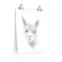 HAYDEN Llama- Art Paper Print