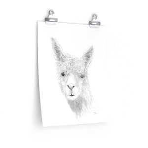 HAYDEN Llama- Art Paper Print