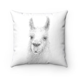 Llama Pillow - TREX