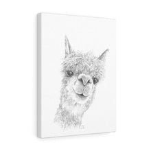 KENLEY Llama - Art Canvas