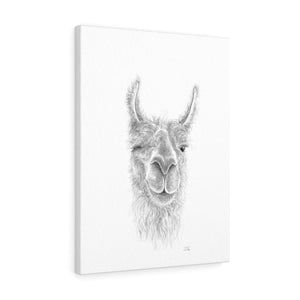 EMILIE Llama - Art Canvas