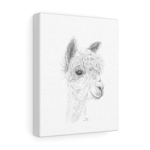 ANNE Llama - Art Canvas