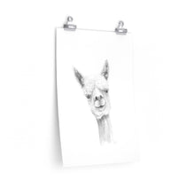 LUKE Llama- Art Paper Print