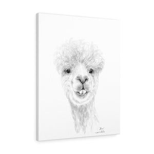 SHAN Llama - Art Canvas