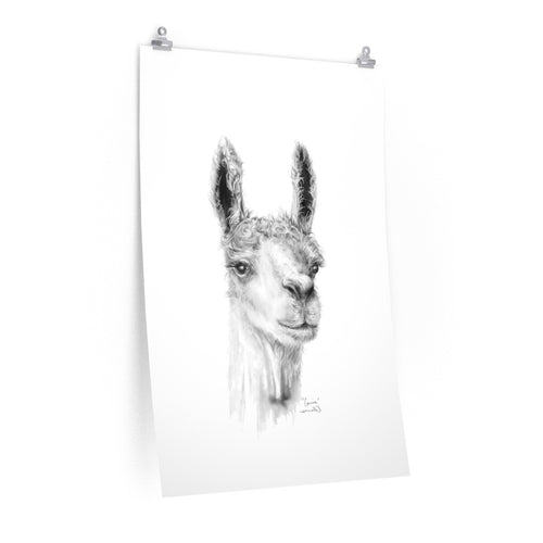 CARRIE Llama- Art Paper Print