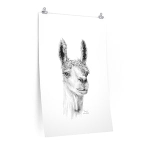 CARRIE Llama- Art Paper Print
