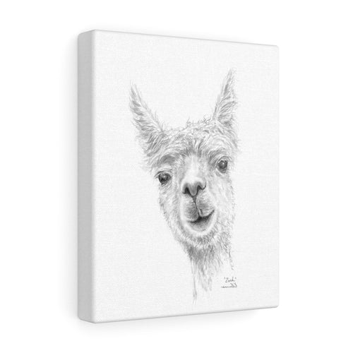 ZACH Llama - Art Canvas