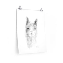 BEVERLY Llama- Art Paper Print