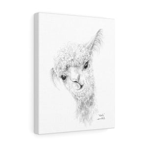 NATALIA Llama - Art Canvas