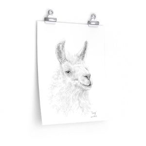 CRAIG Llama- Art Paper Print