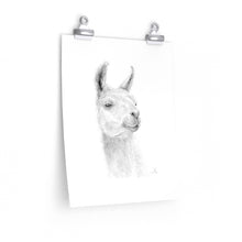 JEFF Llama- Art Paper Print