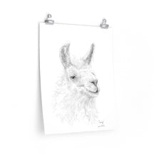 CRAIG Llama- Art Paper Print