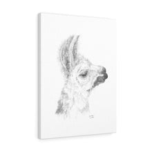 ANNELIESE Llama - Art Canvas