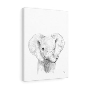 Amos Elephant - Animal Art Canvas