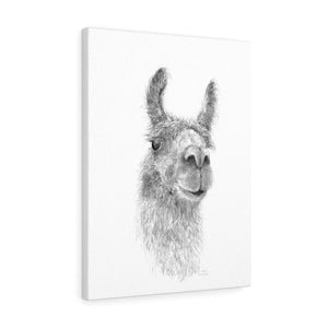 ADREA Llama - Art Canvas