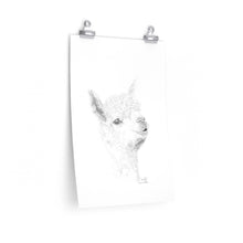 ISABELLA Llama- Art Paper Print