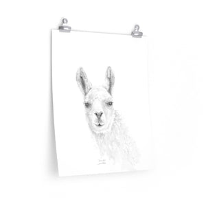 AMANDA Llama- Art Paper Print