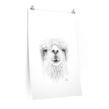 BLAIN Llama- Art Paper Print