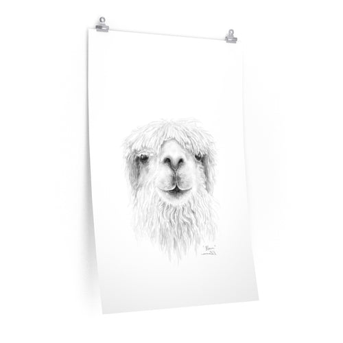 BLAIN Llama- Art Paper Print