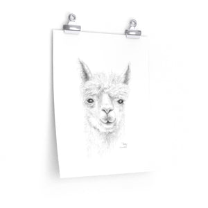 RICKY Llama- Art Paper Print