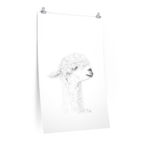 DANICA Llama- Art Paper Print