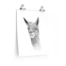 TATE Llama- Art Paper Print