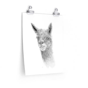 TATE Llama- Art Paper Print