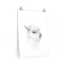 BEN Llama- Art Paper Print