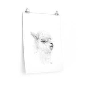 BEN Llama- Art Paper Print