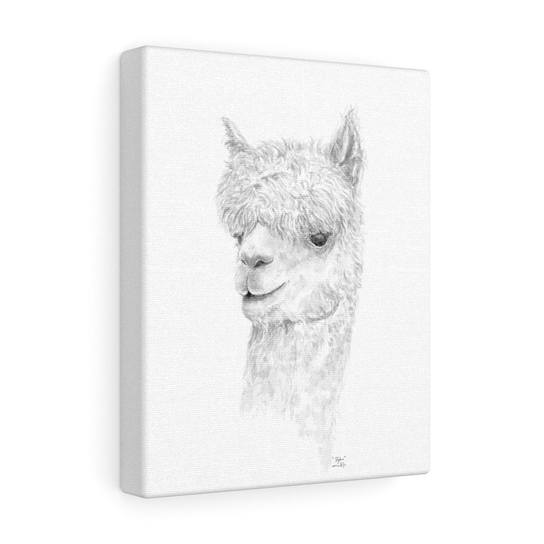 DYLAN Llama - Art Canvas