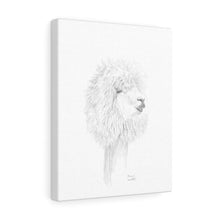 MIRIAM Llama- Art Canvas