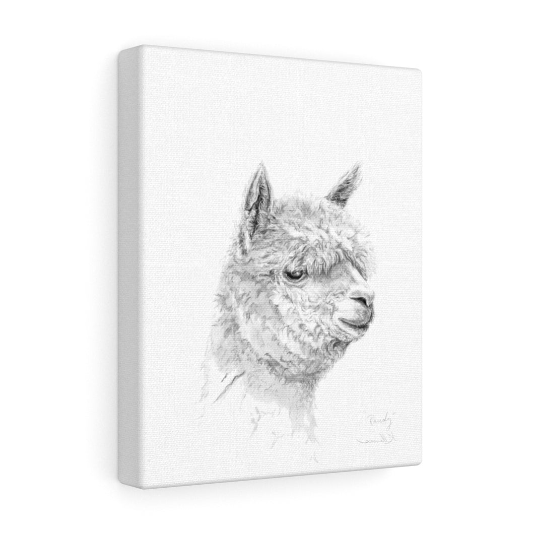 RANDY Llama - Art Canvas