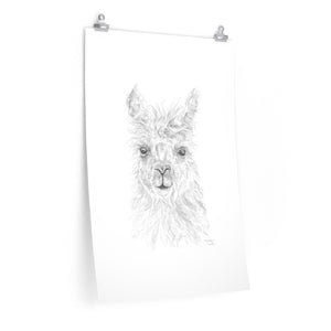 BROOKLYN Llama- Art Paper Print