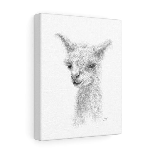SIERRA Llama - Art Canvas