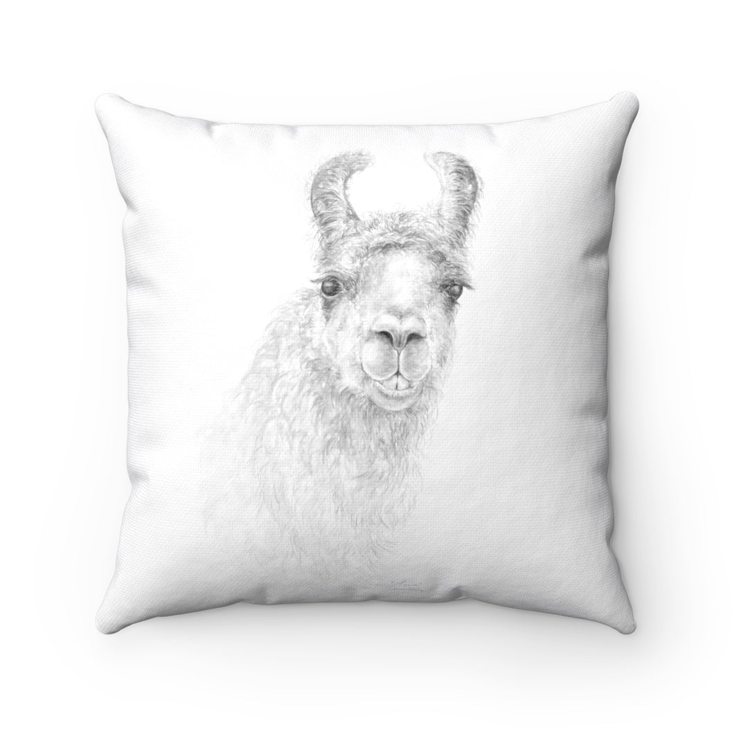 Llama Pillow - TONIA