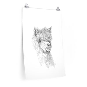 CASSIDY Llama- Art Paper Print