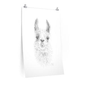 SARAH Llama- Art Paper Print