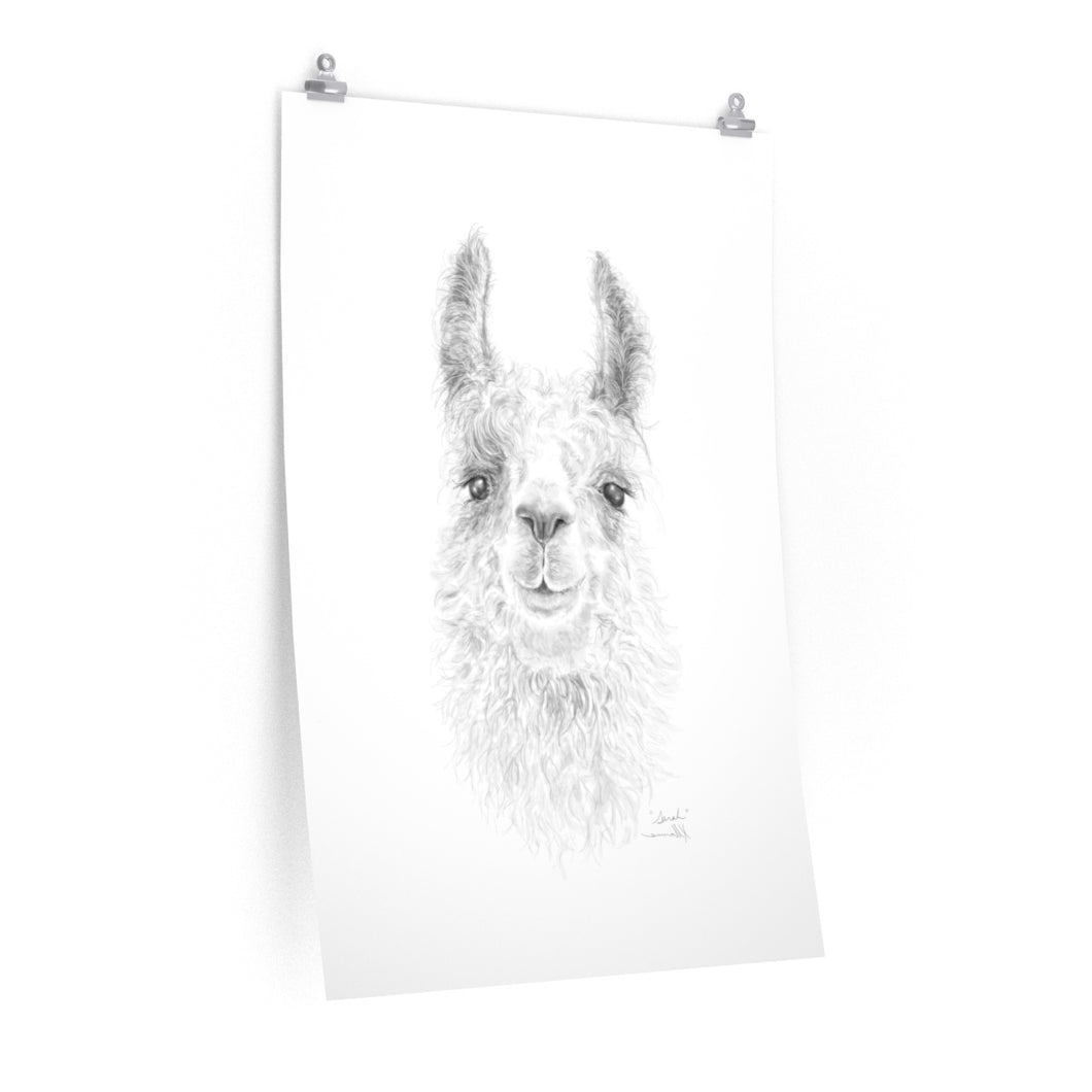 SARAH Llama- Art Paper Print