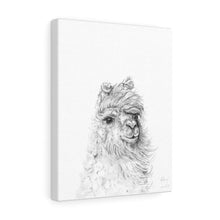 HILARY Llama - Art Canvas