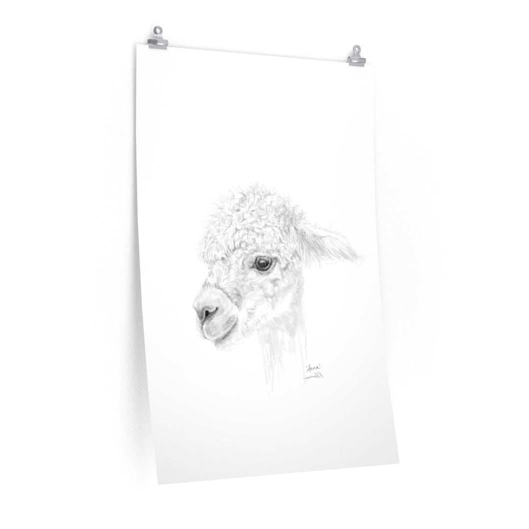 ANNA Llama- Art Paper Print