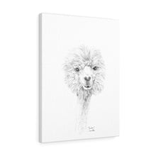 JORDAN Llama - Art Canvas