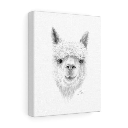 SOPHIA Llama - Art Canvas