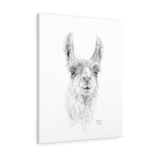 BILLIE-JO Llama - Art Canvas